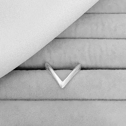 ANEL V